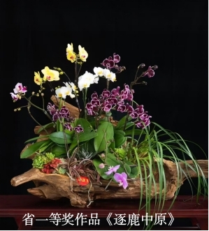 图片1- 一等奖作品《逐鹿中原》