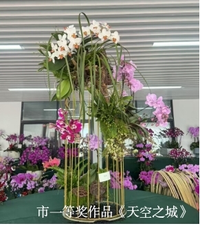 图片2- 一等奖作品《天空之城》