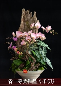 图片3- 二等奖作品《千仞》